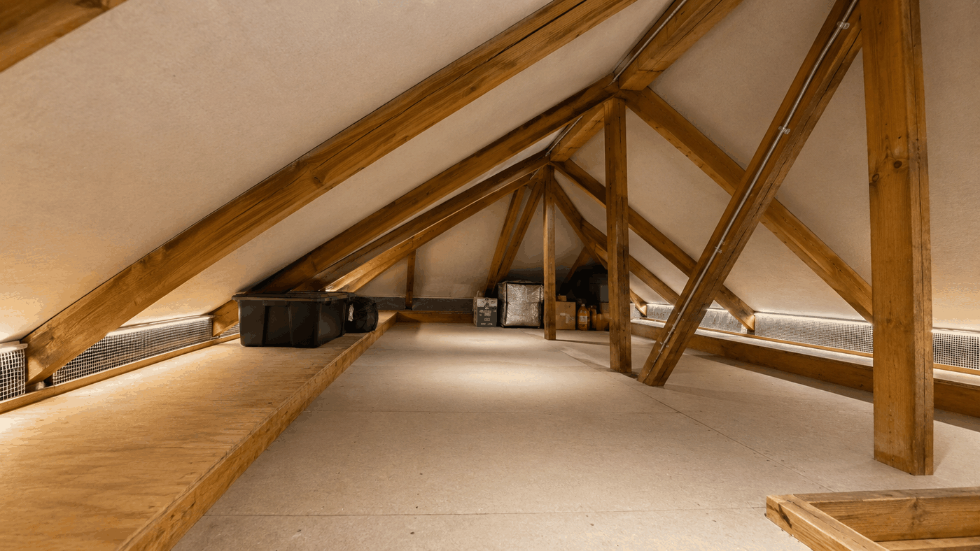 Rodent Proofing in Winchester